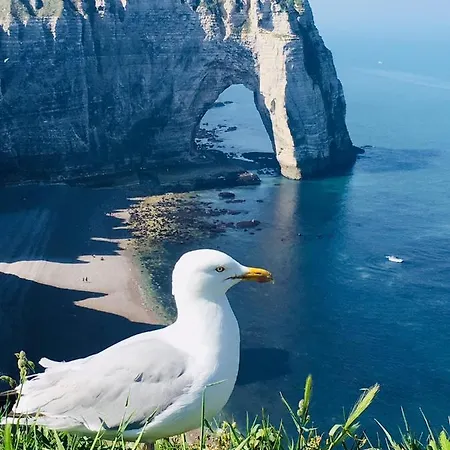 La Brise Marine Feriehus *